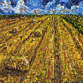 Harvest Memories